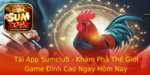 Tai App Sumclub Kham Pha The Gioi Game Inh Cao Ngay Hom Nay 1